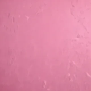 pink blank background
