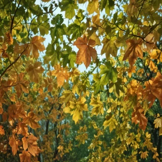 background leaves