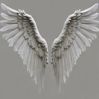 angel wings png transparent