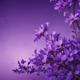 pretty purple backgrounds