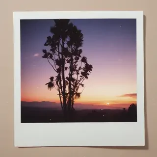 aesthetic polaroid frame