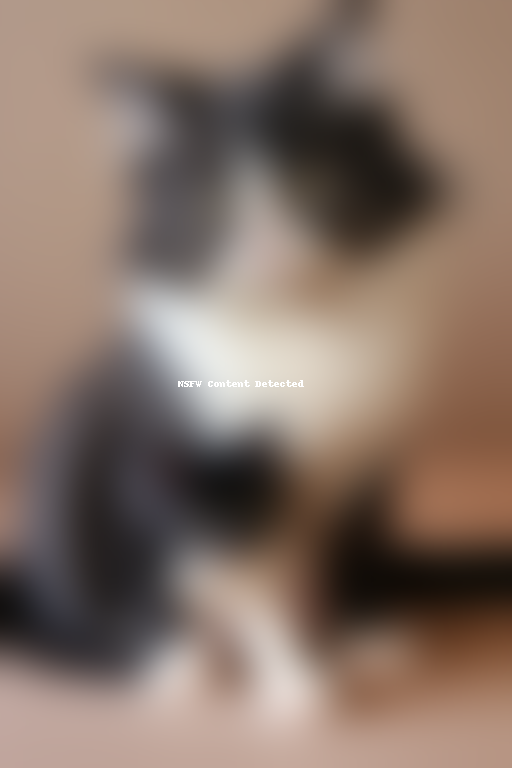 asian semi longhair cat breed