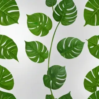transparent plant