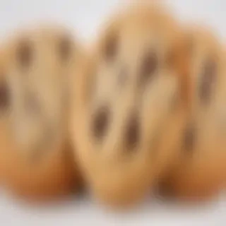 chocolate chip cookie png