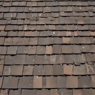 picture of shingles