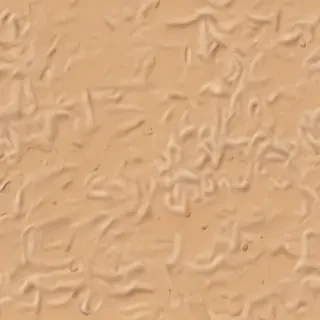 cartoon sand