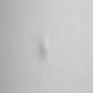 white gray background