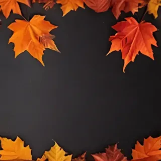 iphone fall wallpaper