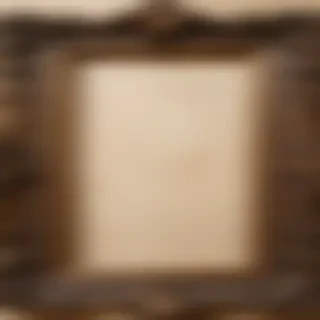 background frame photo