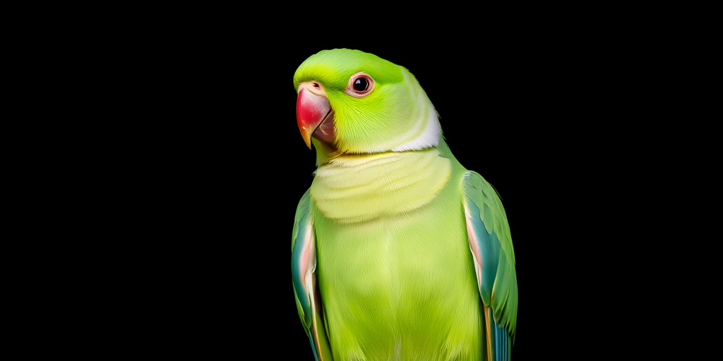 Capture a close-up of a green parrot perched on a branch, with a dark background, using a DSLR camera, 50mm lens, f/2.8 aperture, ISO 100, natural lighting, and a shallow depth of field to enhance detail and vibrancy.