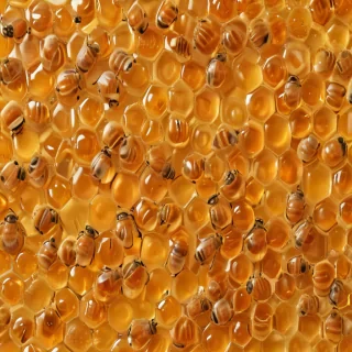 honey background