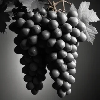 grapes clipart black and white