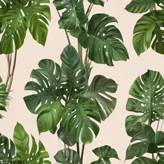 house plant png