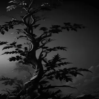 wallpaper black mobile