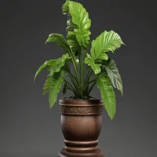 potted plant png
