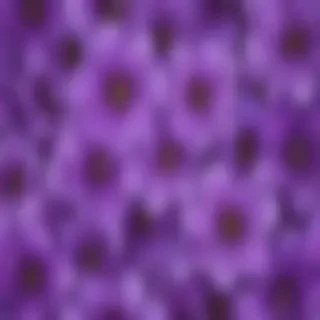 background flower purple