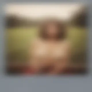 polaroid png