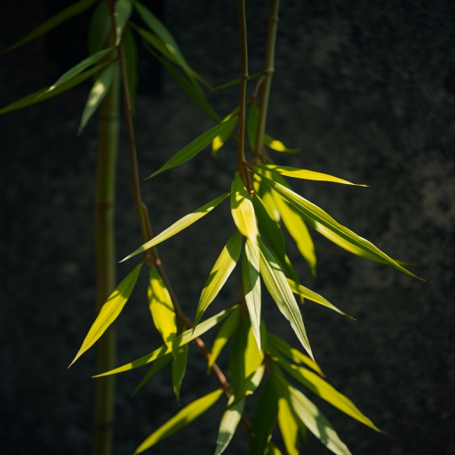 Regenerate a softly illuminated image of bamboo leaves gently swaying against a textured background, captured with a Canon EOS 5D Mark IV, 50mm lens, f/1.8 aperture, ISO 100, natural light, shallow depth of field.