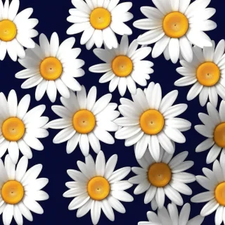 daisy background wallpaper