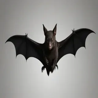 halloween bats png