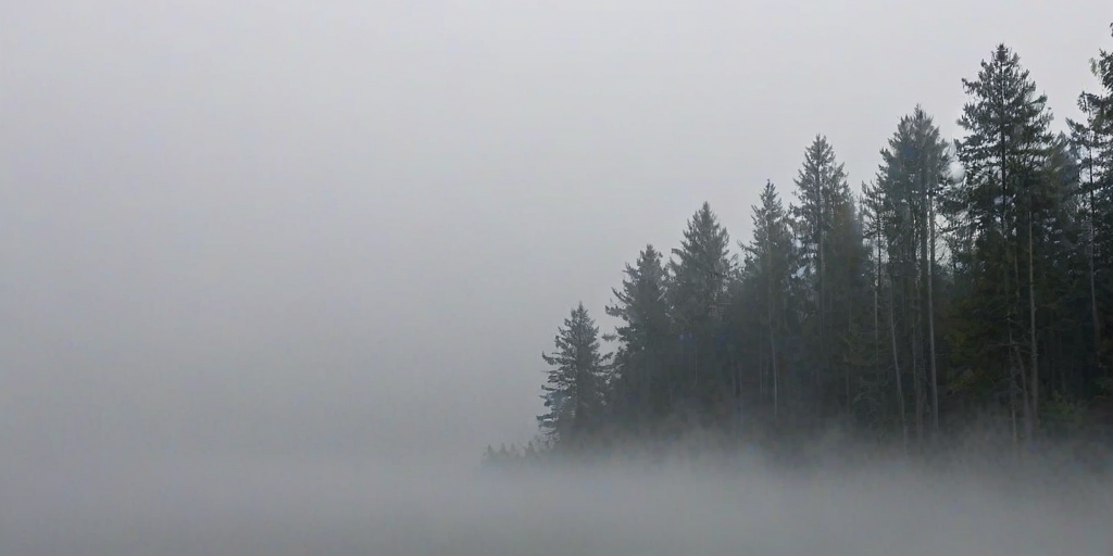 foggy background