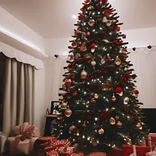 aesthetic christmas pics