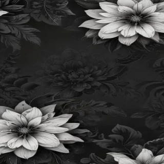 aesthetic wallpaper black