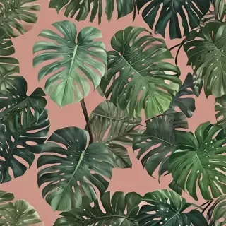 aesthetic monstera wallpaper