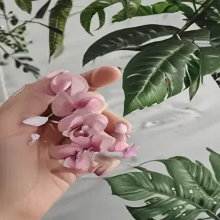 aesthetic plants png