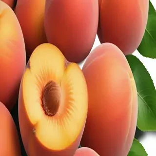 peach png
