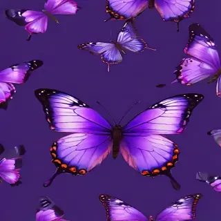 butterfly wallpaper purple