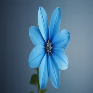 background blue flower
