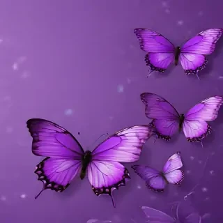 purple wallpapers butterfly