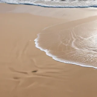 beach transparent