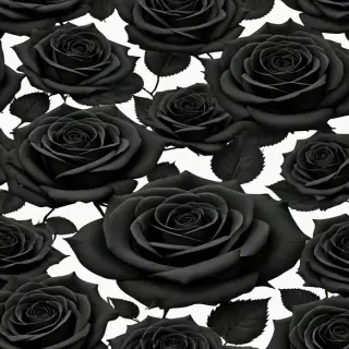 black roses background
