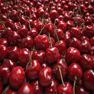 cherry background