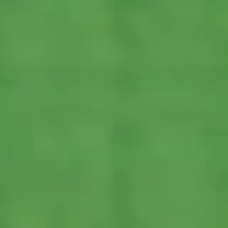 green colour background wallpaper