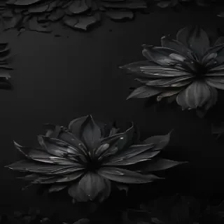 black wallpaper cute