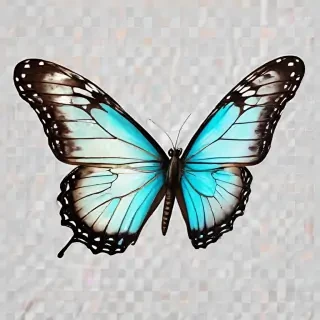 transparent background butterfly clipart