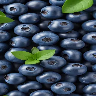 blueberry png