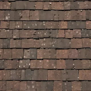 shingles images