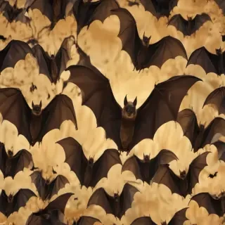 images of bats for halloween