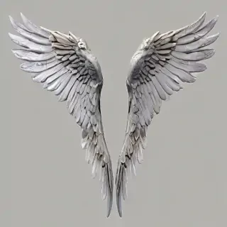 angle wings png
