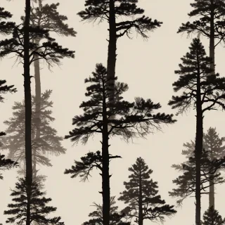 pine tree silhouette png