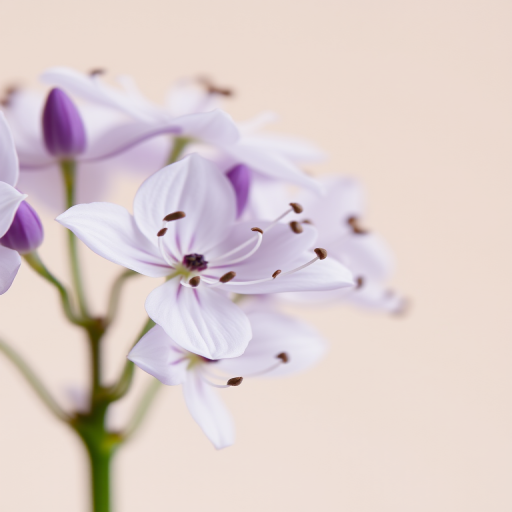 Close-up of delicate white and purple flowers with fine, wispy stamens against a soft neutral background, shot with a macro lens at f/2.8, 1/200 sec, ISO 100, natural light, DSLR camera.