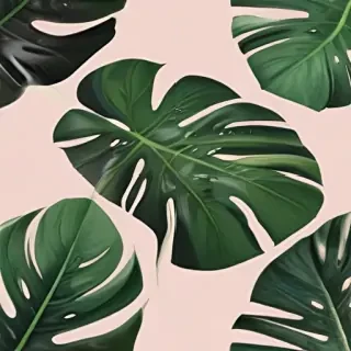 aesthetic monstera wallpaper