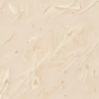 background cream