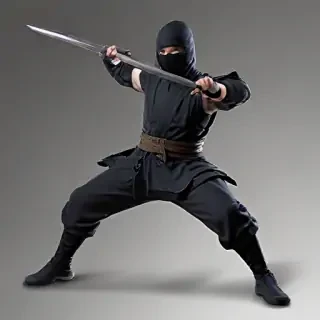 ninja png