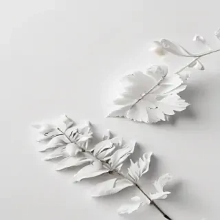 white background aesthetic