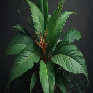 plant phone wallpaper
